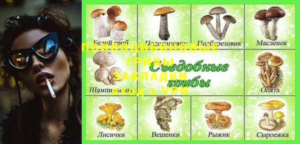соль ск Алексин