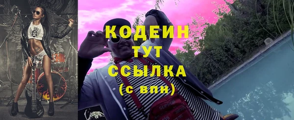 индика Корсаков